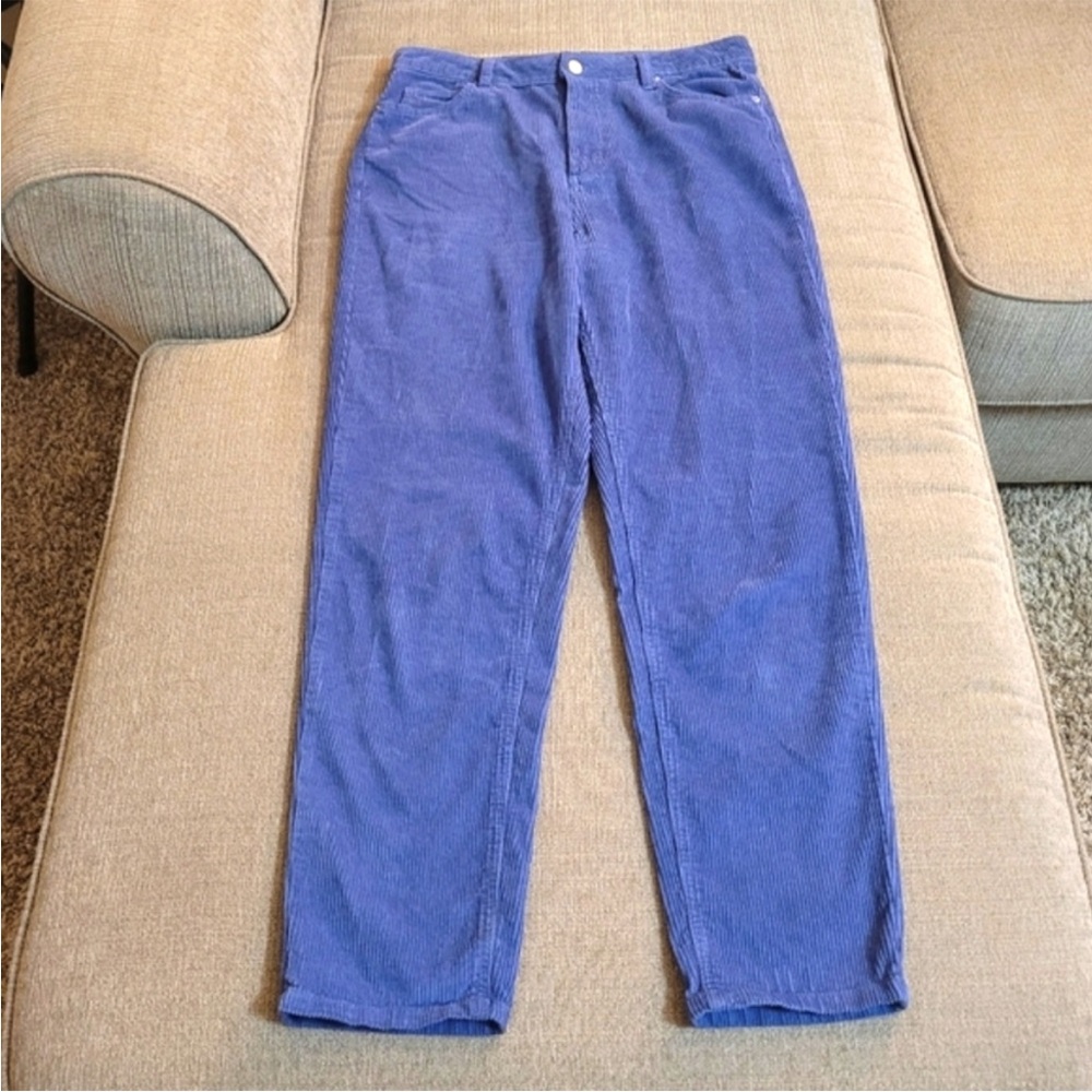 Urban Outfitters BDG Mom High-Rise Blue Corduroy Pants Jeans Size 30
